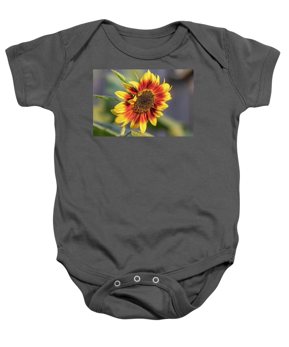Sunflower Baby Onesie featuring the photograph Sunflower 2018-1 #1 by Thomas Young