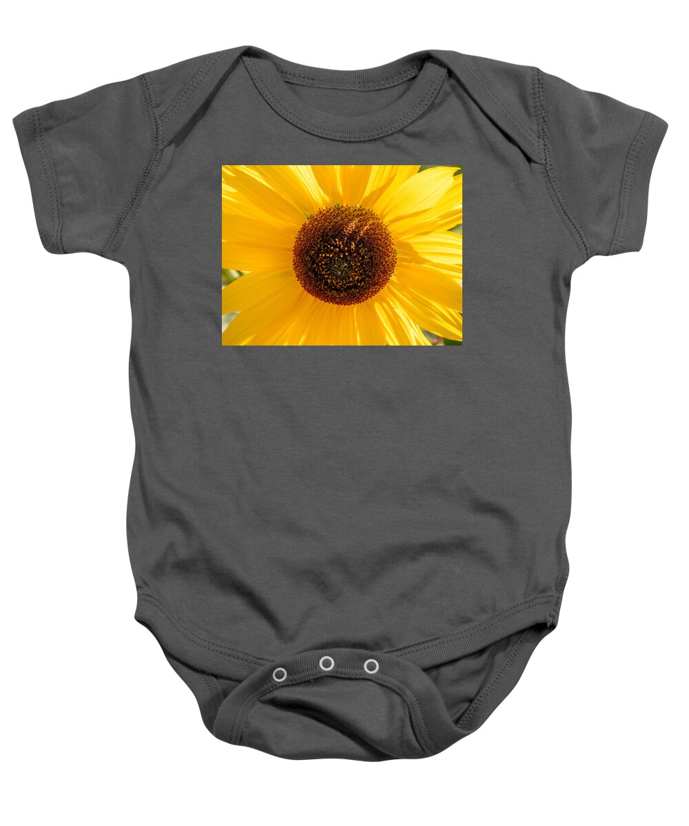 Sunflower Baby Onesie featuring the photograph Sunflower by Derek Dean