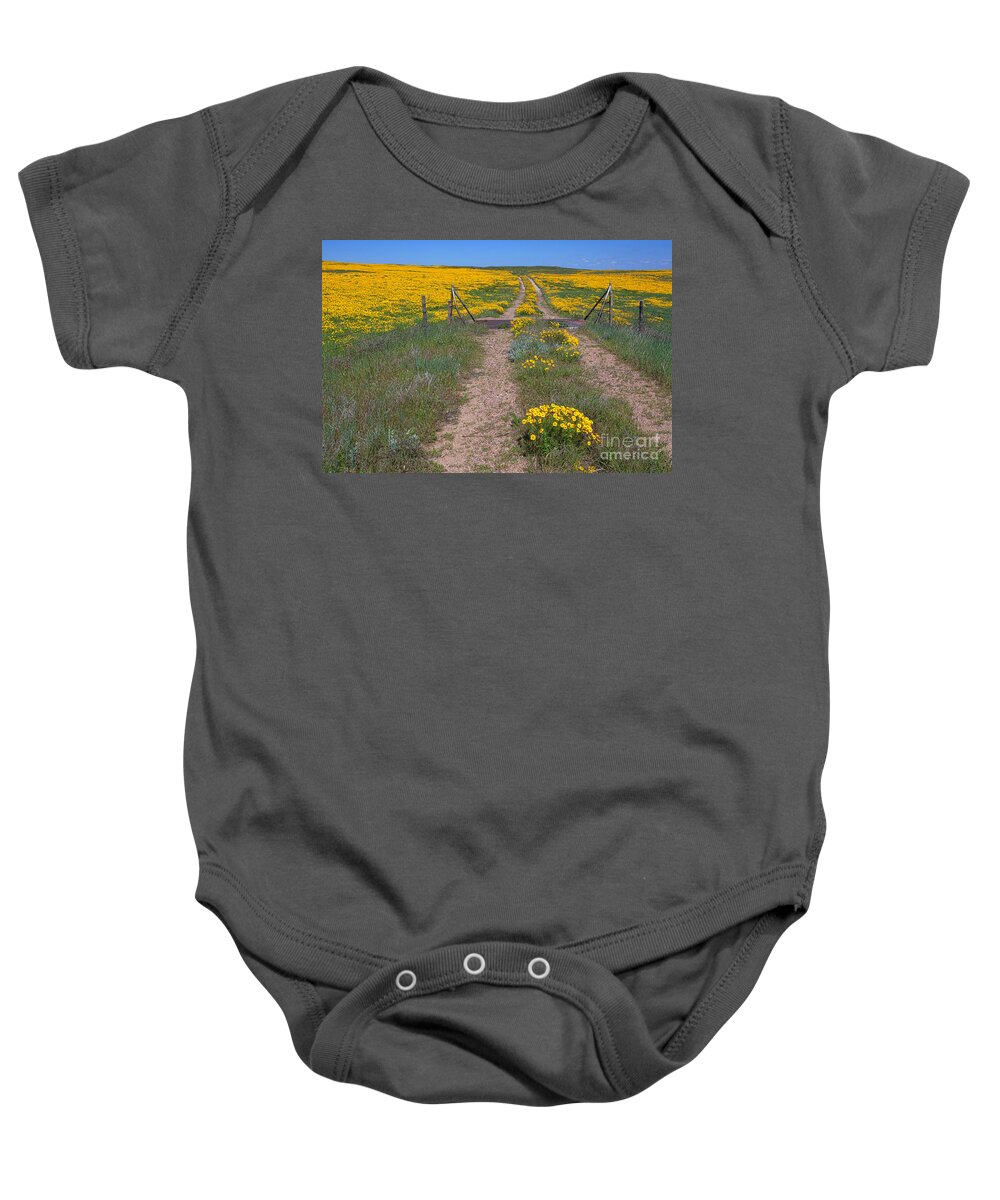 Yellow Wildflowers Baby Onesie featuring the photograph The Golden Gate #1 by Jim Garrison