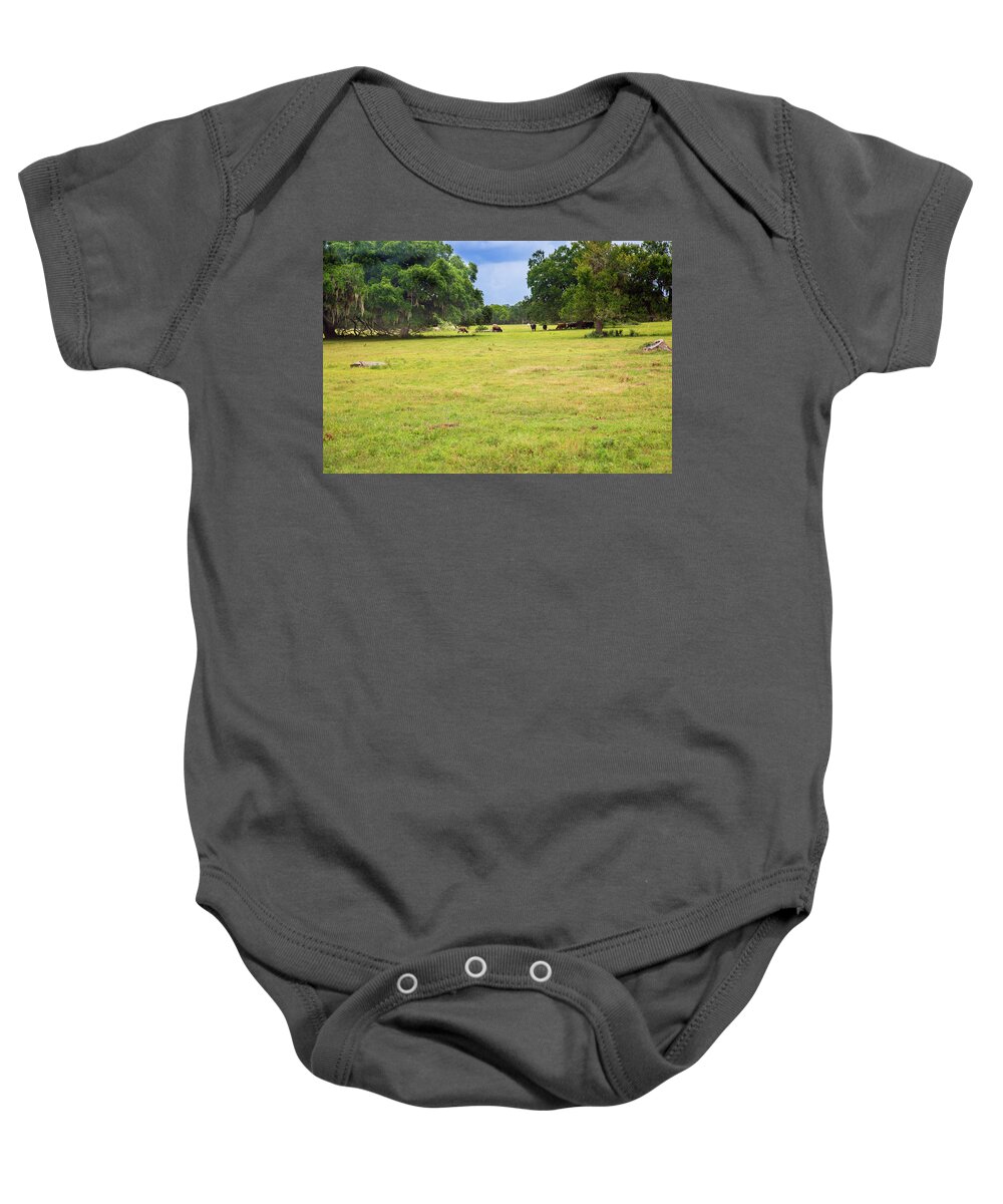 Cows Baby Onesie featuring the photograph The Meadow by Judy Wright Lott