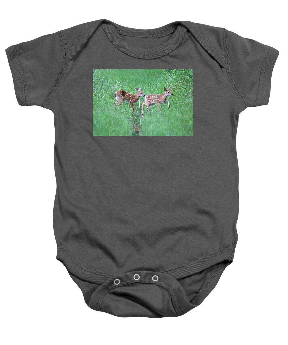 Twins Baby Onesie featuring the photograph Twin Fawns #1 by Brook Burling