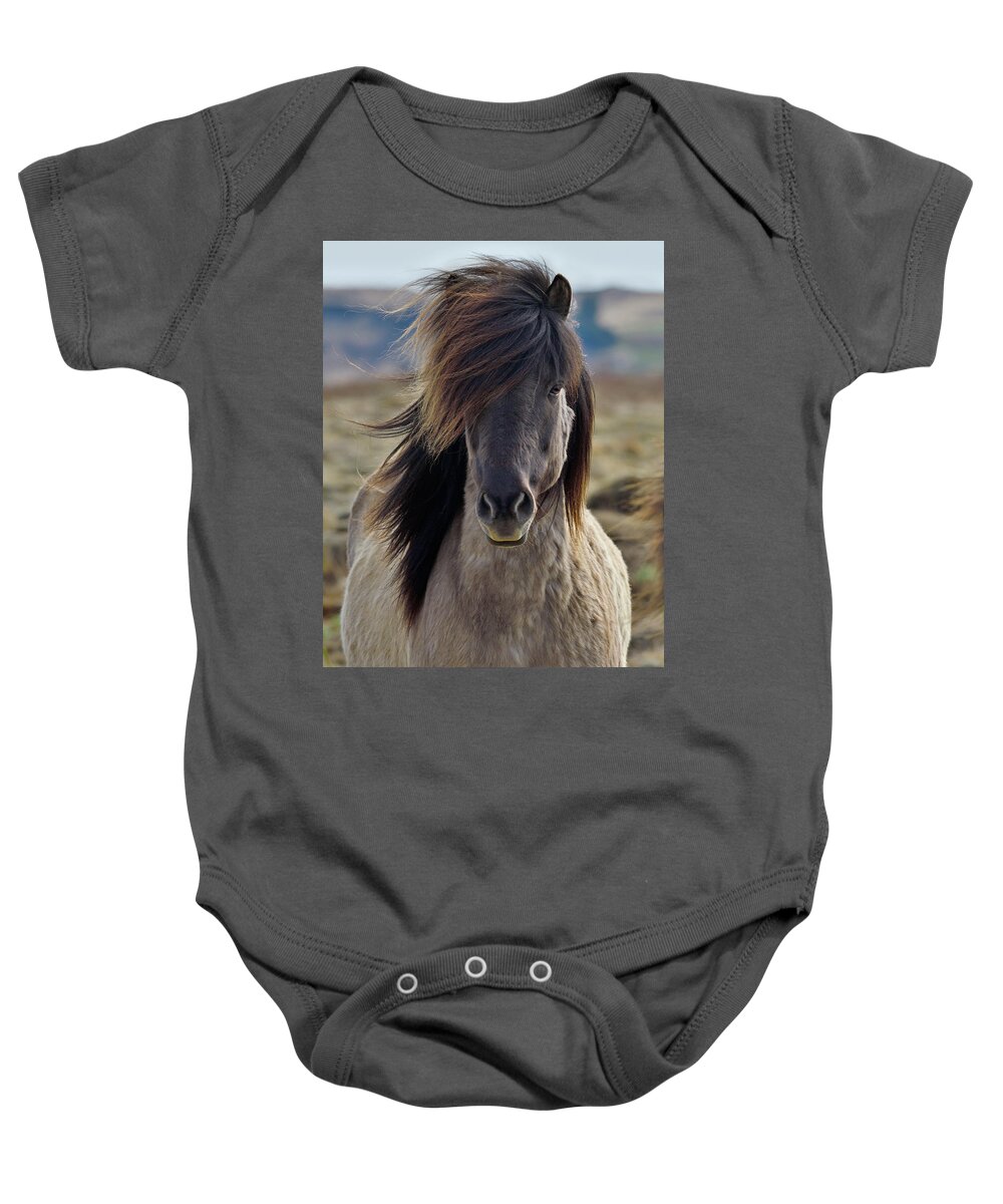 Icelandic Horse Baby Onesie featuring the photograph Wind Blown #2 by Tony Beck