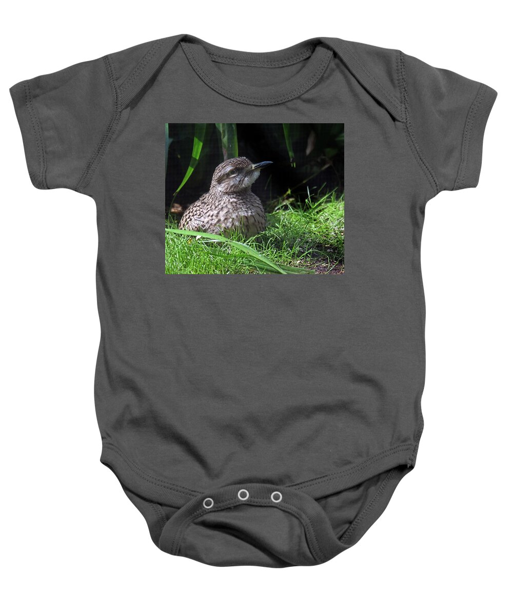 Bush Stone Curlew Baby Onesie featuring the photograph Young Bush Stone Curlew #1 by Ronda Ryan