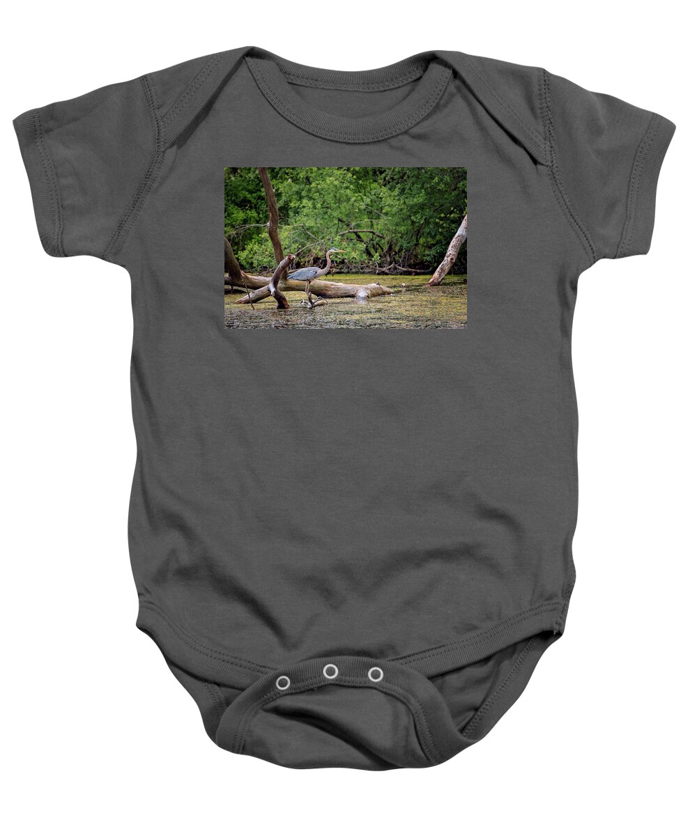 Animal Baby Onesie featuring the photograph Blue Heron #11 by Peter Lakomy