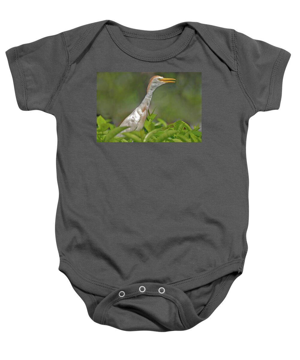 Cattle Egret Baby Onesie featuring the photograph 11- Cattle Egret by Joseph Keane