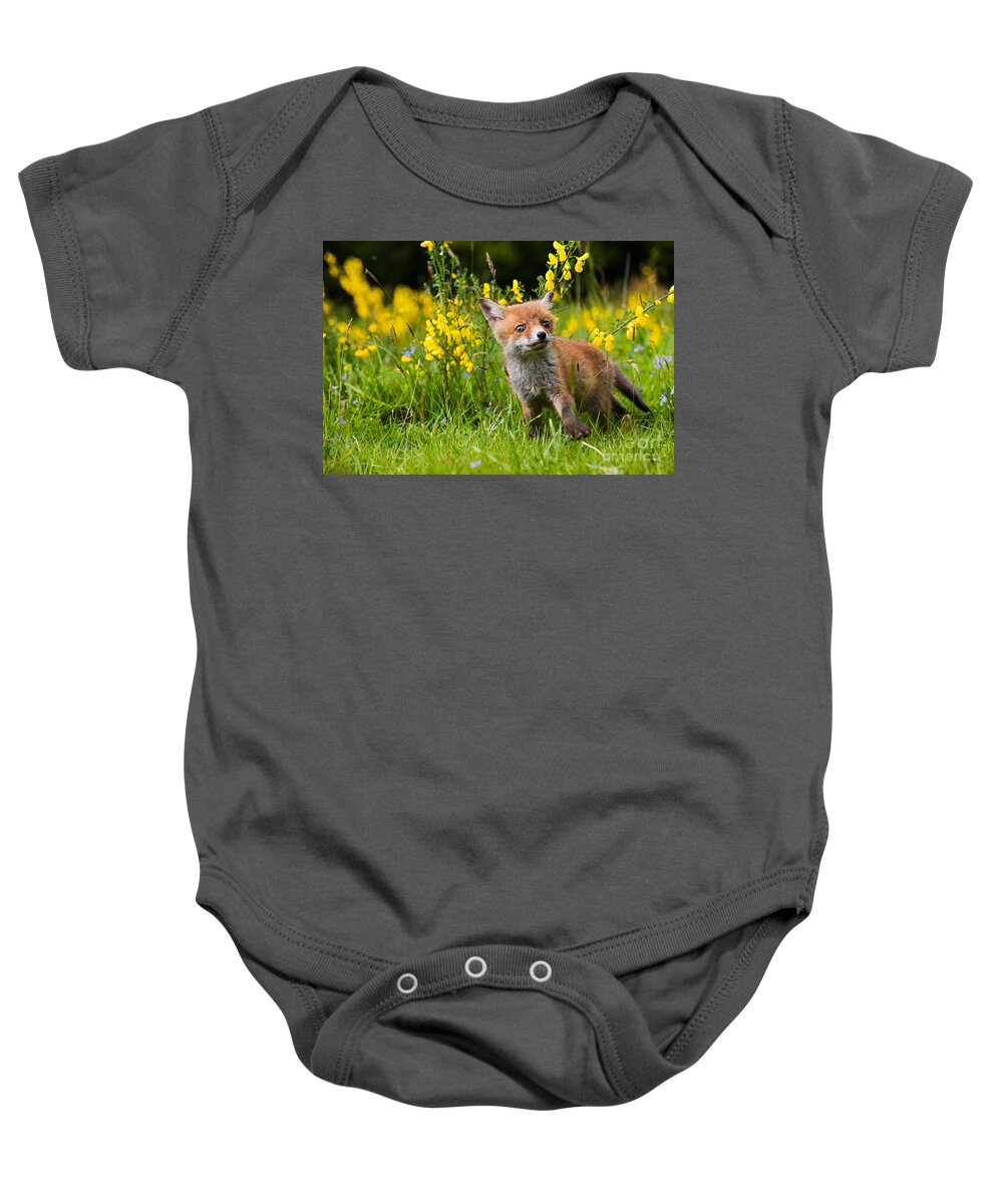 Animal Baby Onesie featuring the photograph Red Fox Vulpes Vulpes #12 by Gerard Lacz