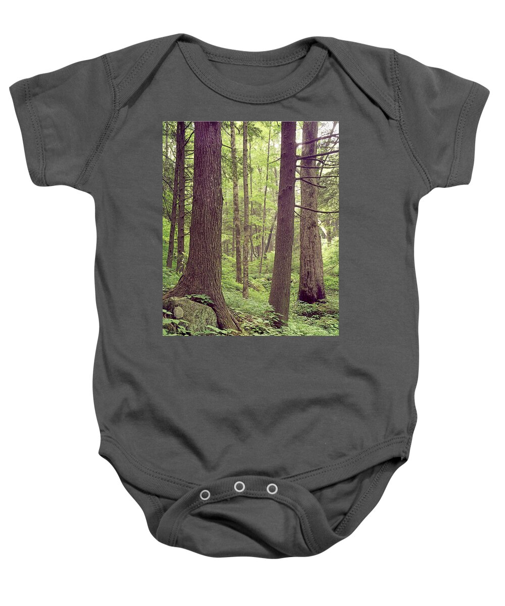 Mature Forest Baby Onesie featuring the photograph 145926 Mature Forest GSMNP by Ed Cooper Photography