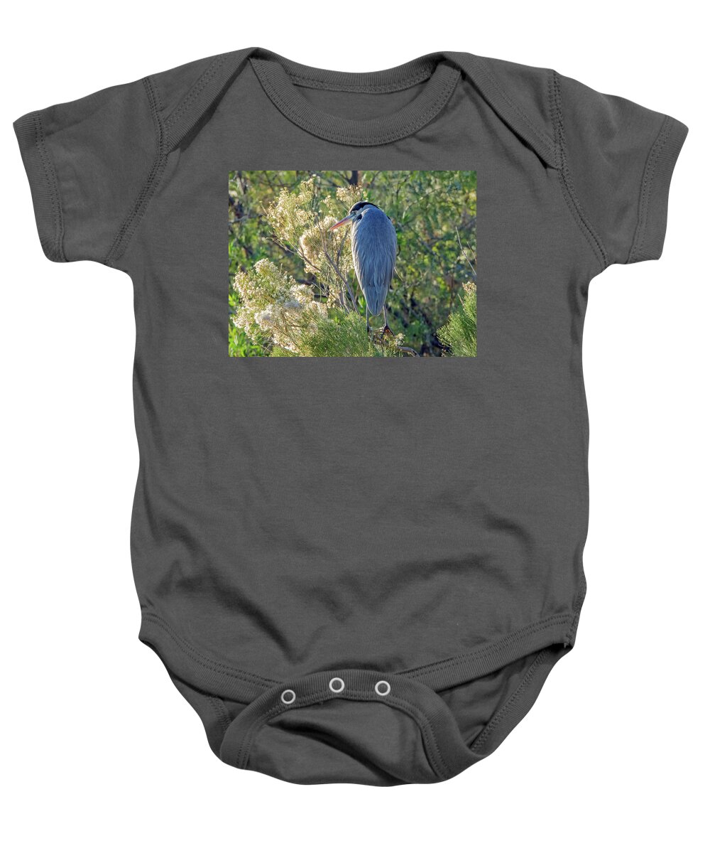 Great Baby Onesie featuring the photograph Great Blue Heron #16 by Tam Ryan