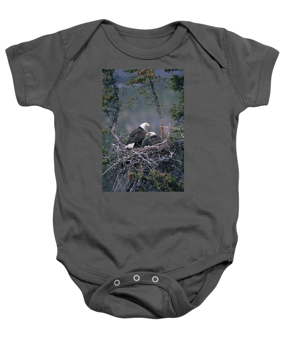 Mp Baby Onesie featuring the photograph Bald Eagle Haliaeetus Leucocephalus #2 by Michael Quinton