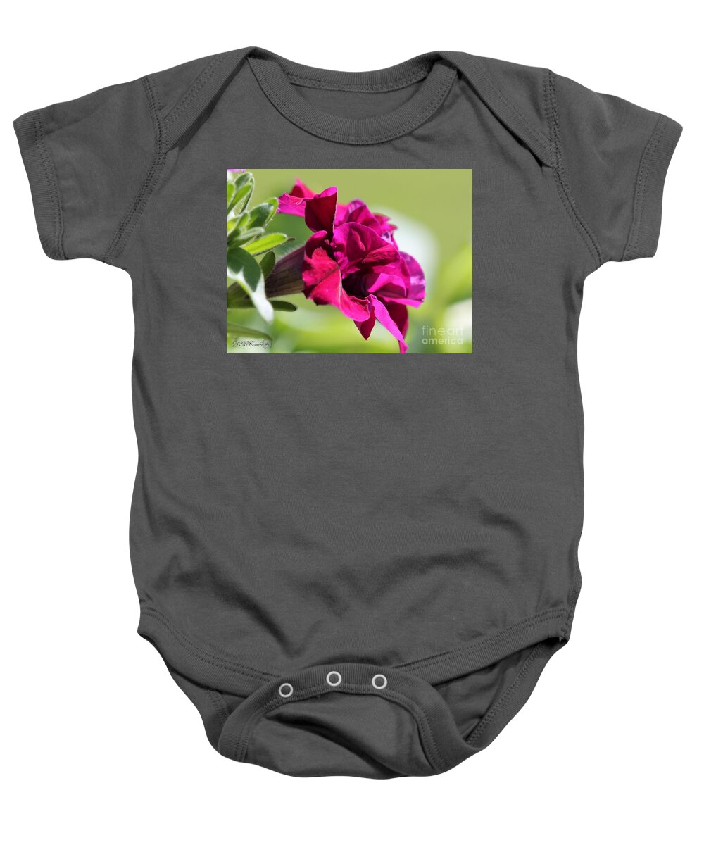 Mccombie Baby Onesie featuring the photograph Burgundy Double Cascade Petunia #1 by J McCombie