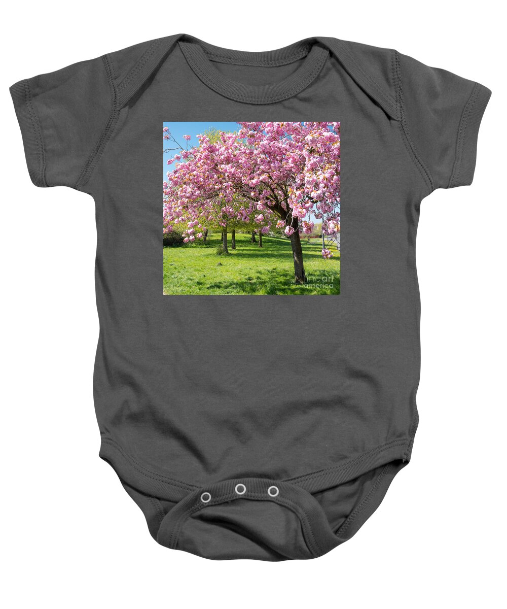 Color Baby Onesie featuring the photograph Cherry blossom tree #2 by Colin Rayner