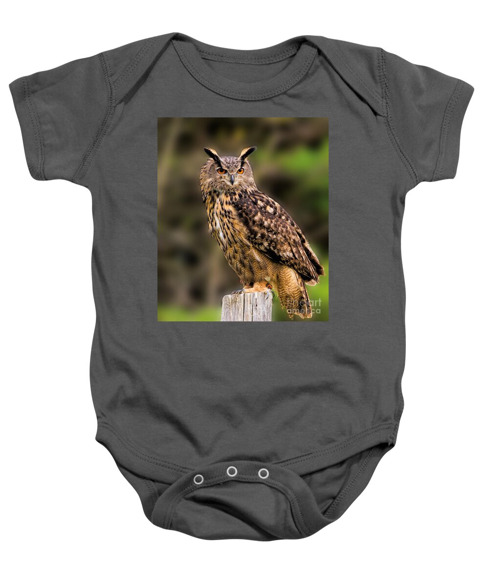Birds Baby Onesie featuring the photograph Eurasian Eagle Owl perched on a post by Les Palenik