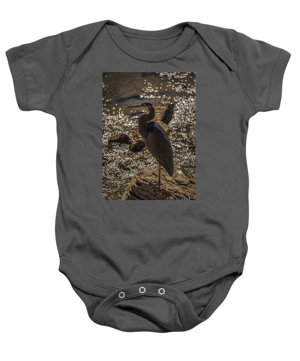 Ardea Herodias Baby Onesie featuring the photograph Great Blue Heron #2 by Roger Monahan
