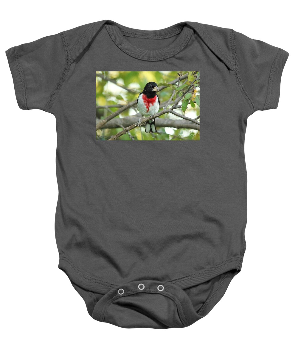 Mccombie Baby Onesie featuring the photograph Rose-Breasted Grosbeak #4 by J McCombie