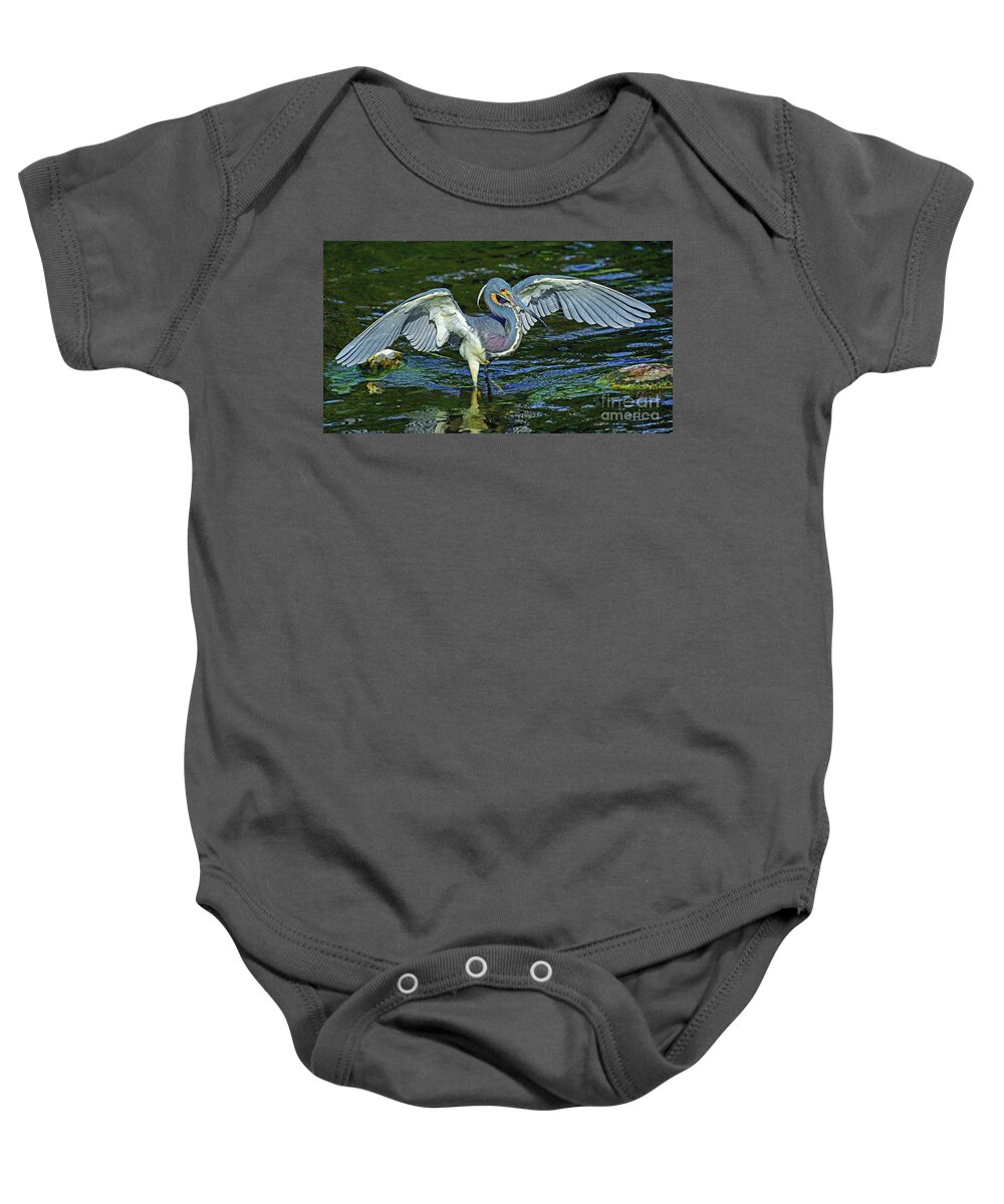 Bird Baby Onesie featuring the photograph TriColor Hunting #2 by Larry Nieland