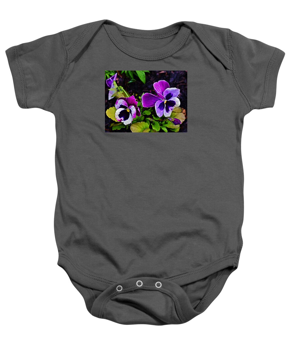 Pansies Baby Onesie featuring the photograph 2015 Spring at Olbrich Gardens Violet Pansies by Janis Senungetuk