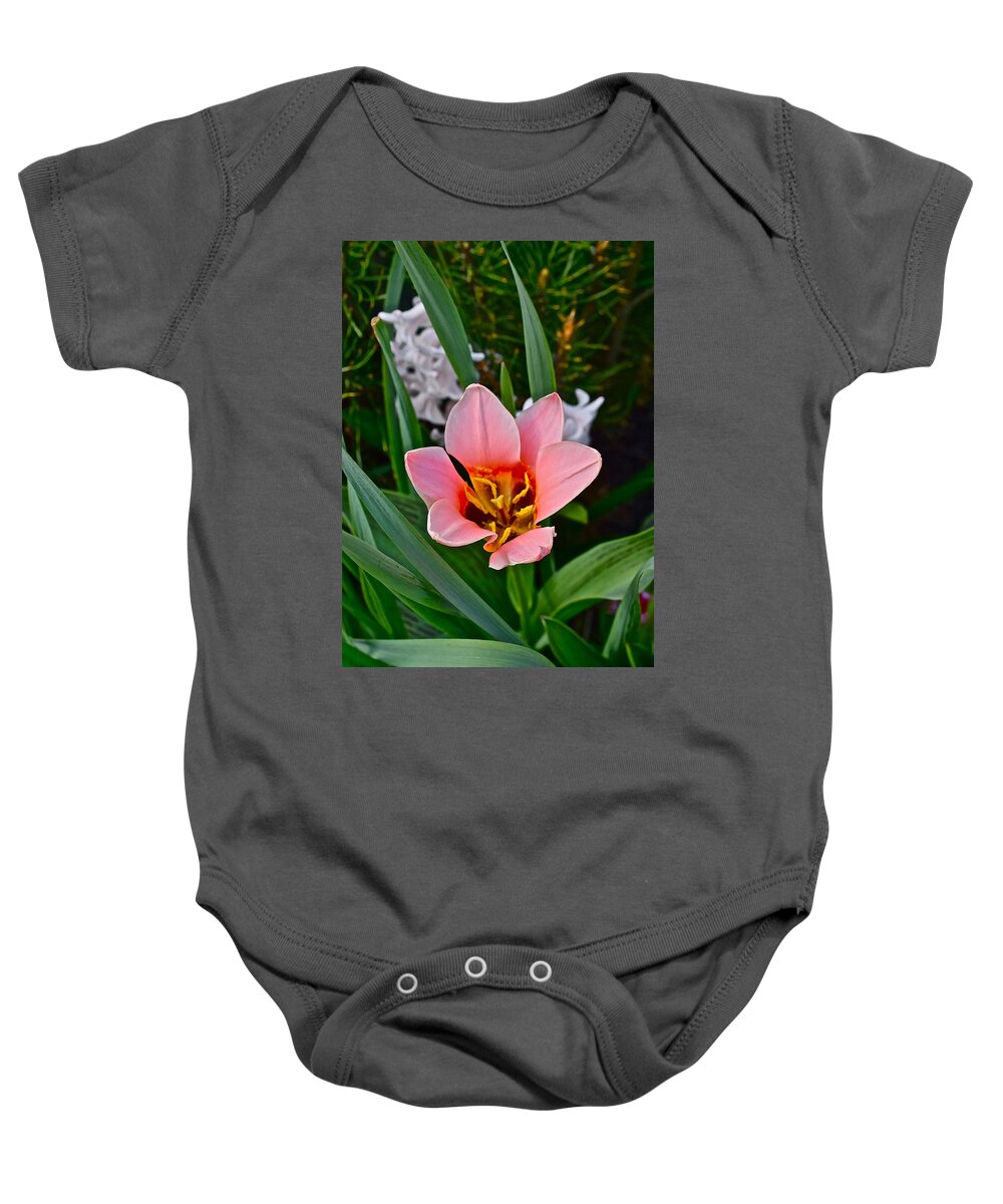 Tulip Baby Onesie featuring the photograph 2016 Acewood Tulips 1 by Janis Senungetuk