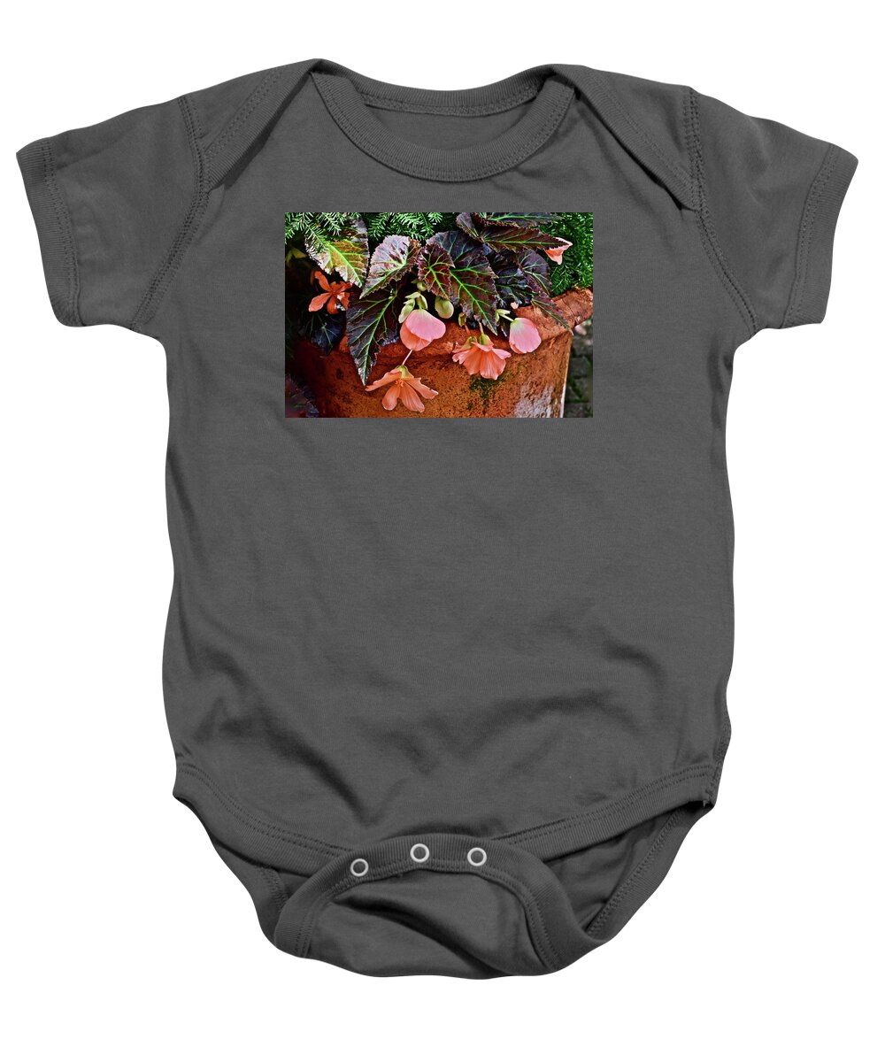 Begonias Baby Onesie featuring the photograph 2017 Early July at the Gardens Begonias by Janis Senungetuk