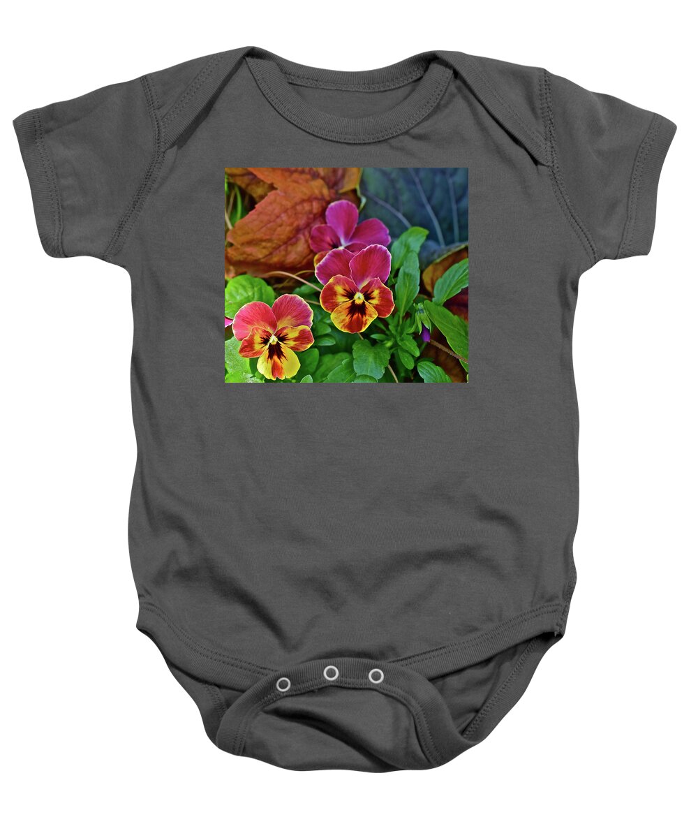 Pansies Baby Onesie featuring the photograph 2017 Early May at the Garden Spring Pansies by Janis Senungetuk