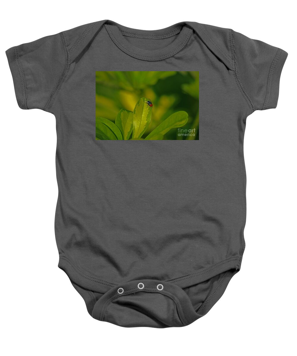 Fly Baby Onesie featuring the photograph 29- The Fly by Joseph Keane