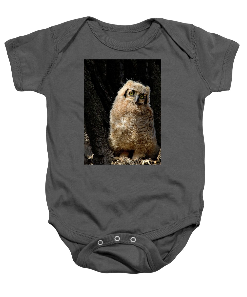 Great Horned Owl Baby Onesie featuring the photograph Great Horned Owlet #3 by Dawn Key