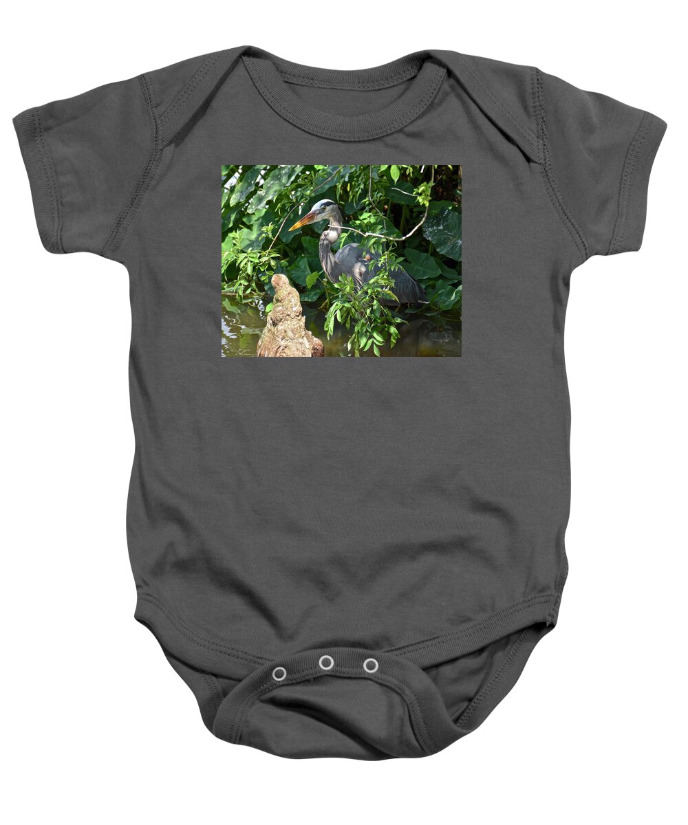 Heron Baby Onesie featuring the photograph Hiding Heron #3 by Carol Bradley