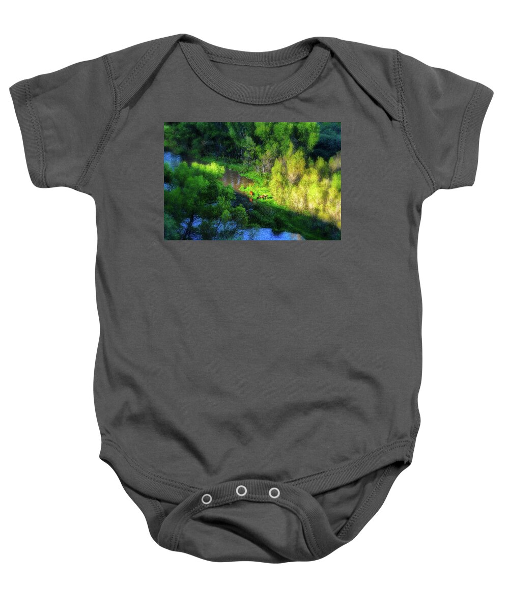 Animals Baby Onesie featuring the photograph 3 Horses grazing on the bank of the Verde River by Robert FERD Frank
