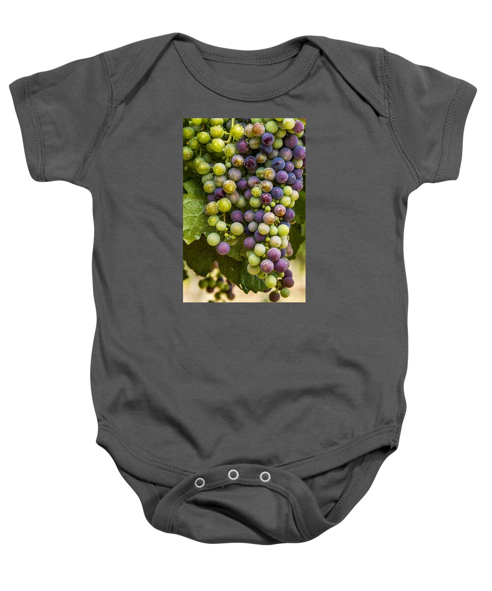 Colorado Vineyard Baby Onesie featuring the photograph Red Wine Grapes Hanging on the Vine #3 by Teri Virbickis