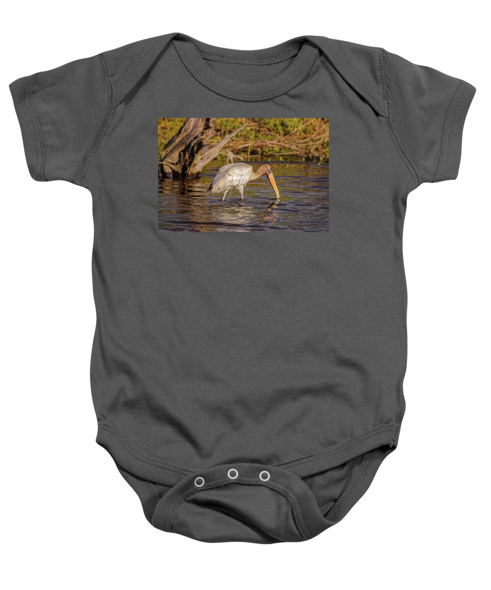 Big Talbot Island Baby Onesie featuring the photograph Wood Stork #4 by Peter Lakomy