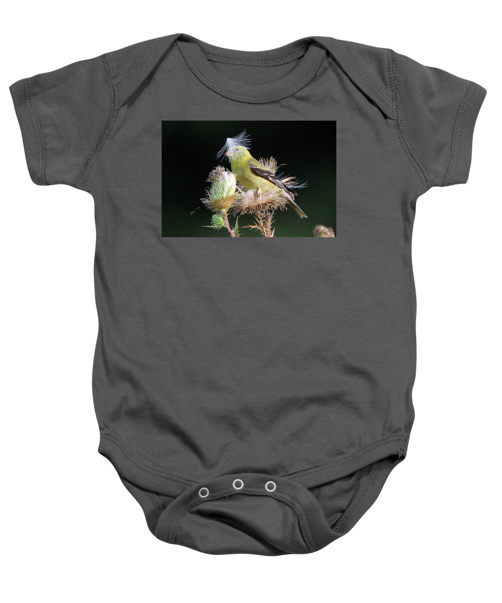 American Goldfinch Baby Onesie featuring the photograph American Goldfinch Stony Brook New York #5 by Bob Savage