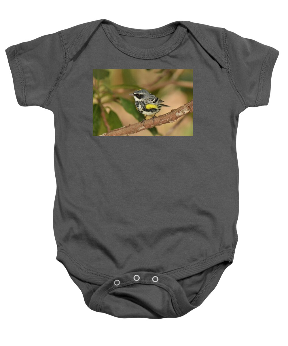 Bird Baby Onesie featuring the photograph Yellow-rumped Warbler #5 by Alan Lenk