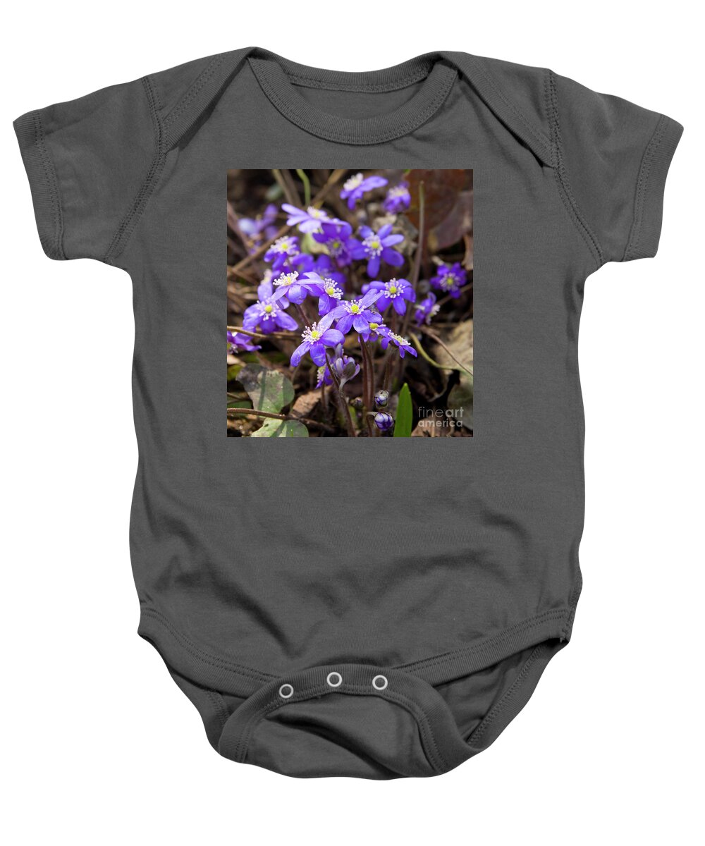 Hepatica Baby Onesie featuring the photograph First spring flowers #7 by Irina Afonskaya