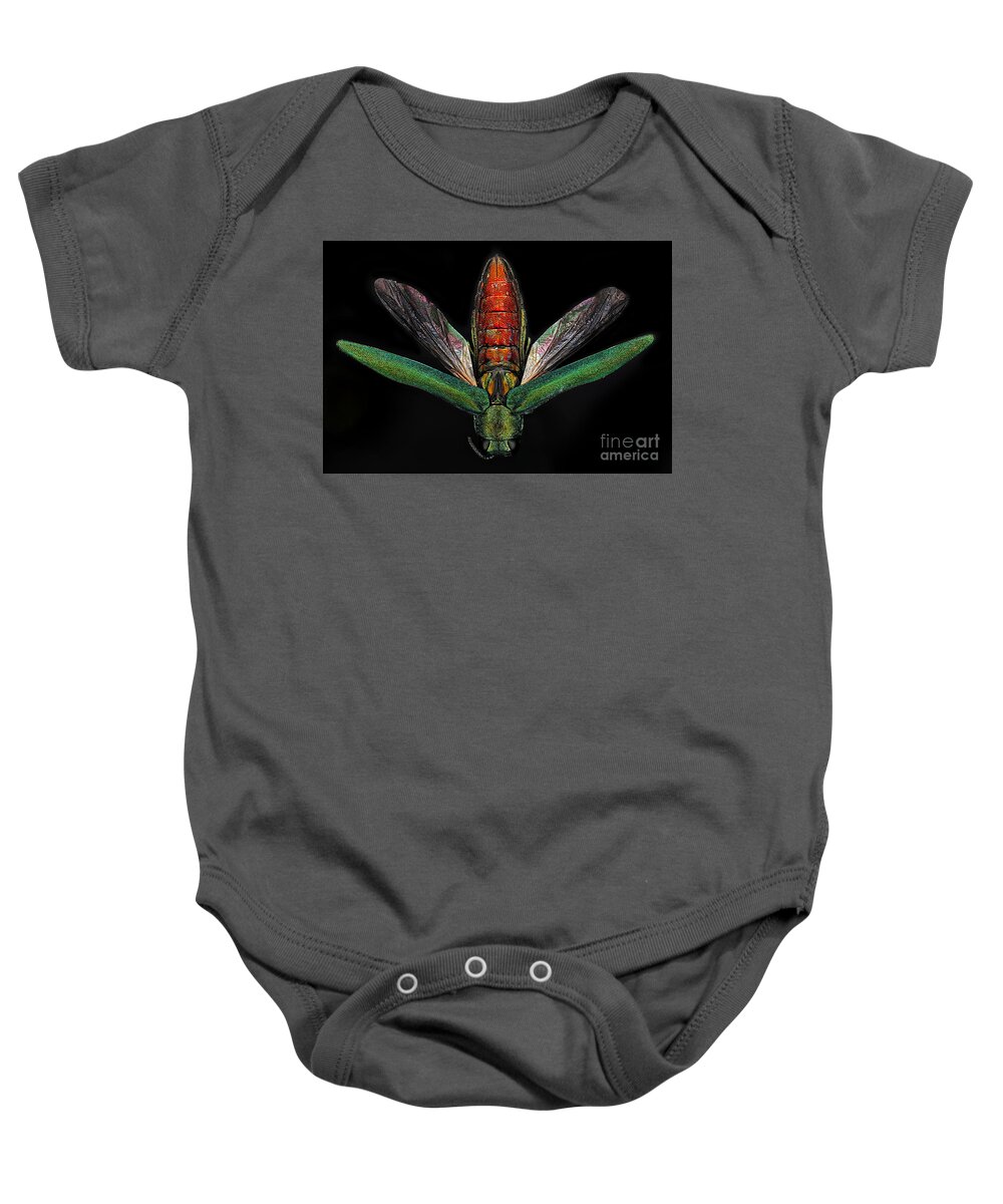 Macro Baby Onesie featuring the photograph Emerald Ash Borer #8 by Macroscopic Solutions