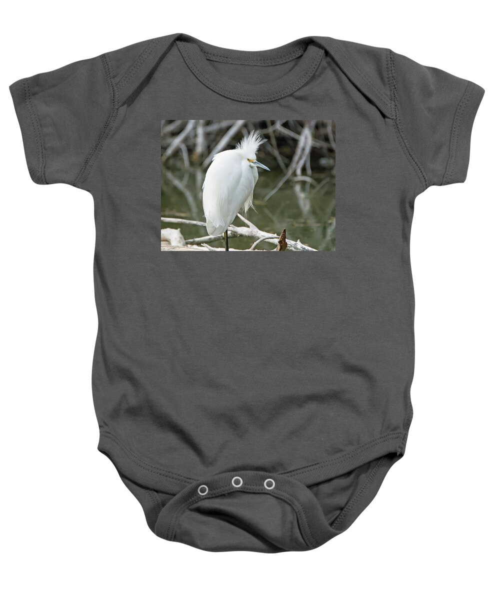 Snowy Baby Onesie featuring the photograph Snowy Egret #87 by Tam Ryan