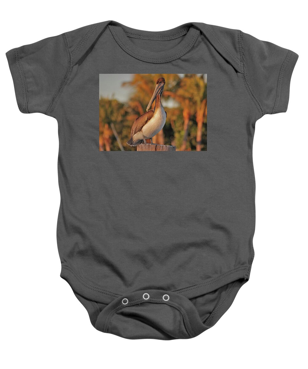  Pelican Baby Onesie featuring the photograph 9- Brown Pelican by Joseph Keane