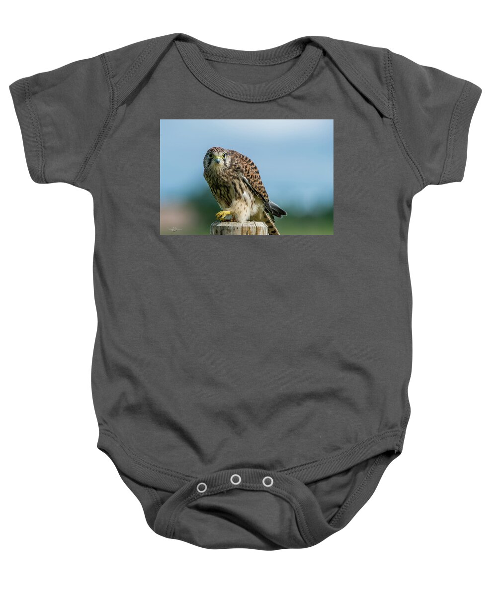 Kestrel Baby Onesie featuring the photograph A beautiful young kestrel looking behind you by Torbjorn Swenelius