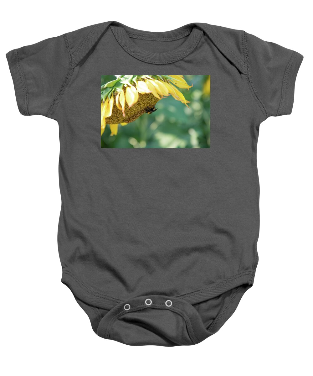 Field Baby Onesie featuring the photograph A Bee in Pollen on a Big Sunflower by Anthony Doudt