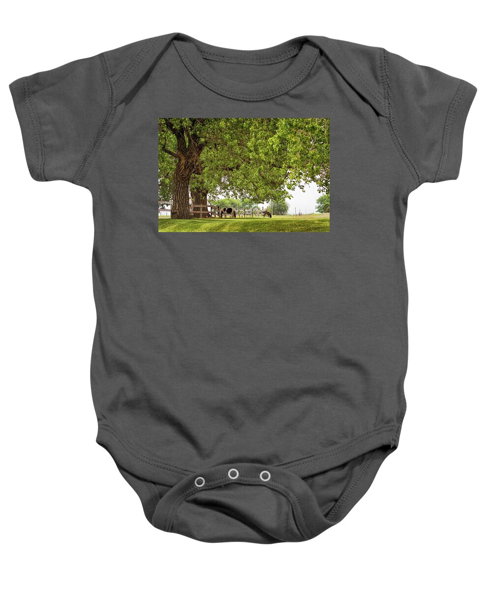 Foal Baby Onesie featuring the photograph A Day in the Shade by Susan Rissi Tregoning