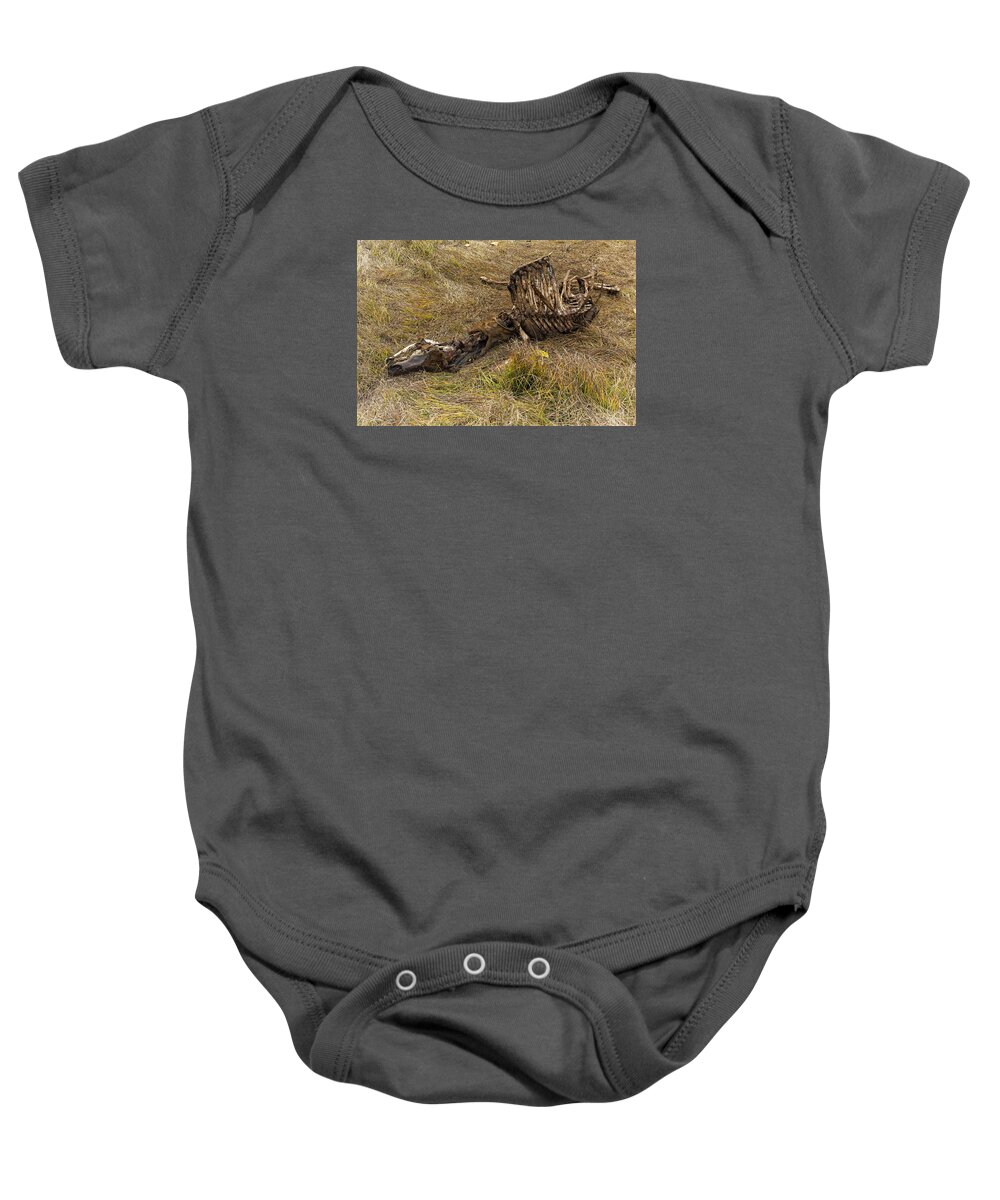 Bones Baby Onesie featuring the photograph A Death in the Natural World by Belinda Greb