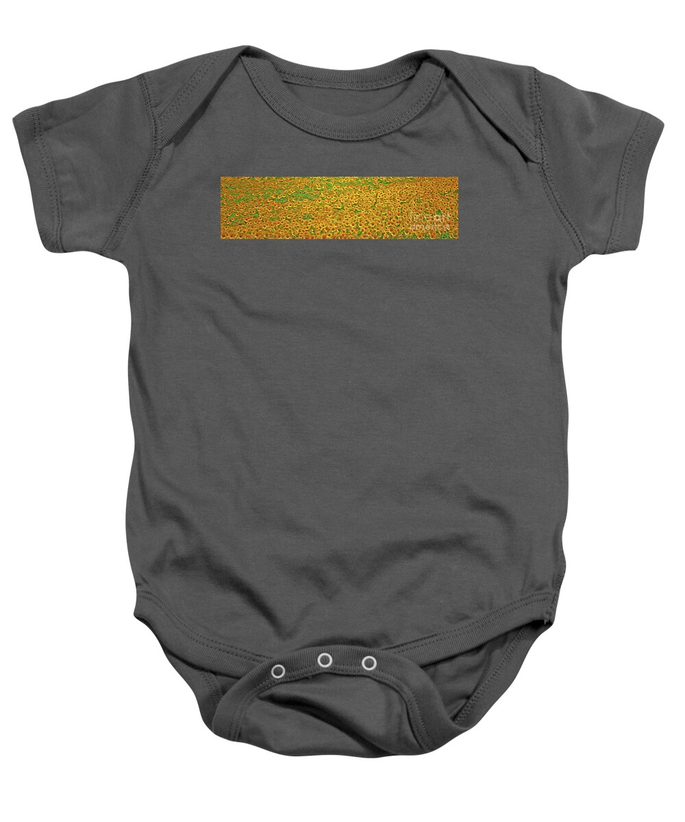 A Field Of Sunflowers Baby Onesie featuring the digital art A Field of Sunflowers - Spain by Mary Machare