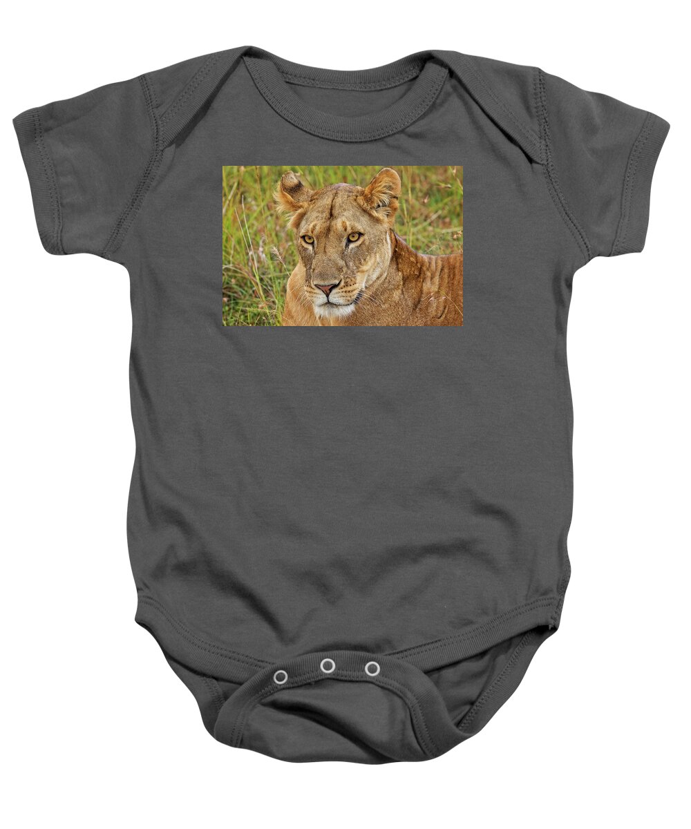 Africa Baby Onesie featuring the photograph A Lioness in Kenya by Mitchell R Grosky