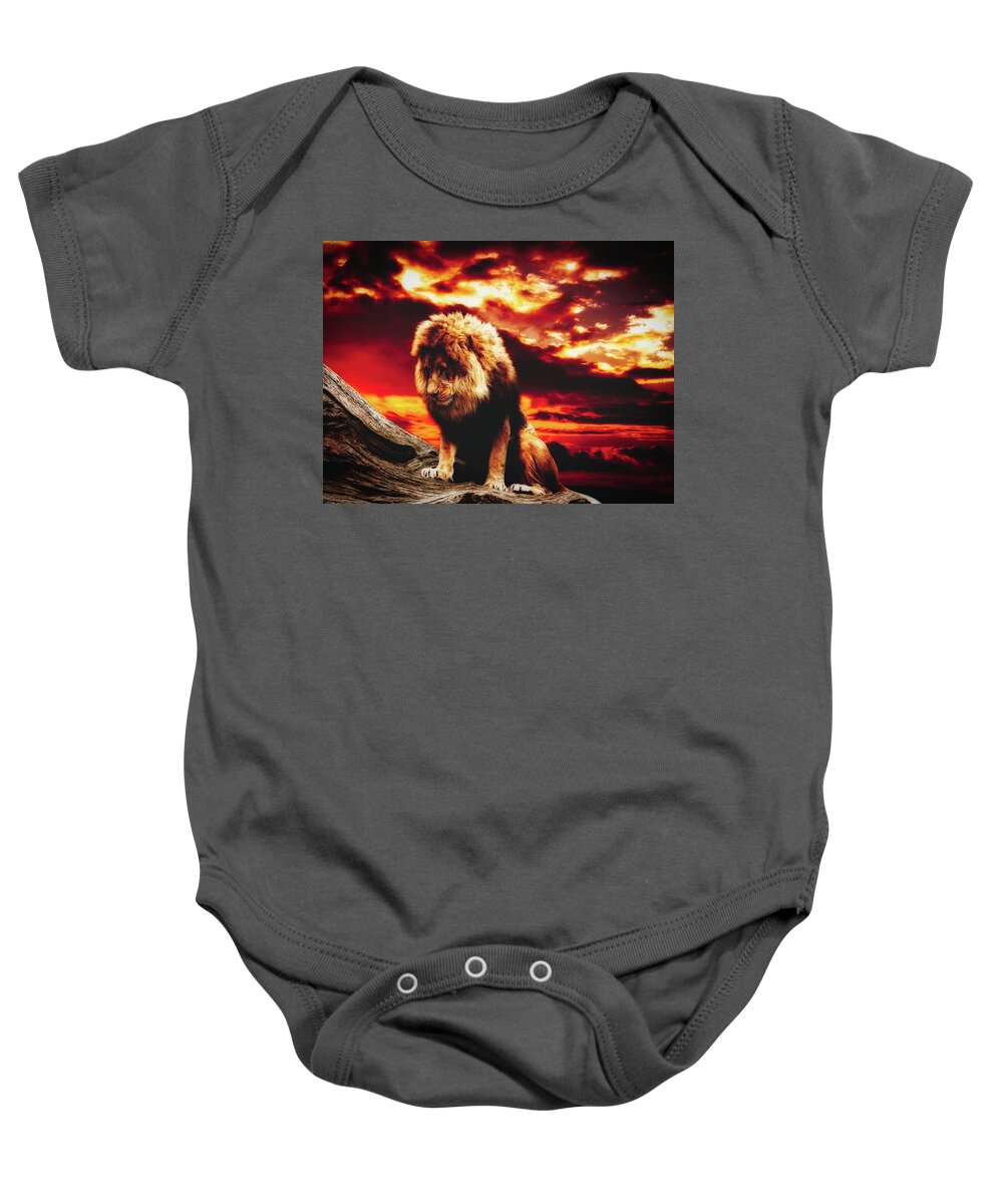 Lion Baby Onesie featuring the photograph A Lion's Prayer by Mountain Dreams