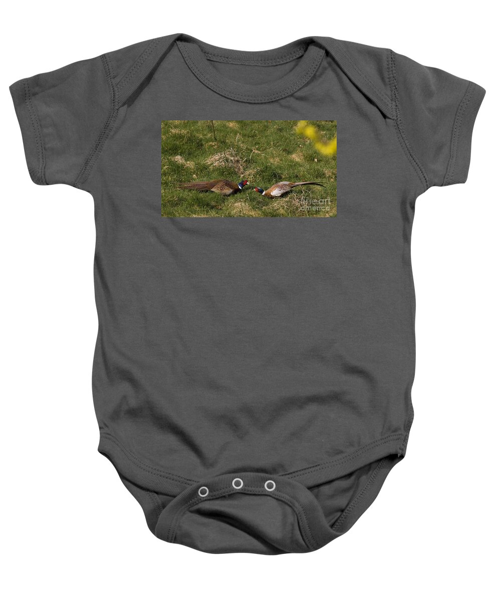 Pheasant Baby Onesie featuring the photograph A Little Argue by Ang El