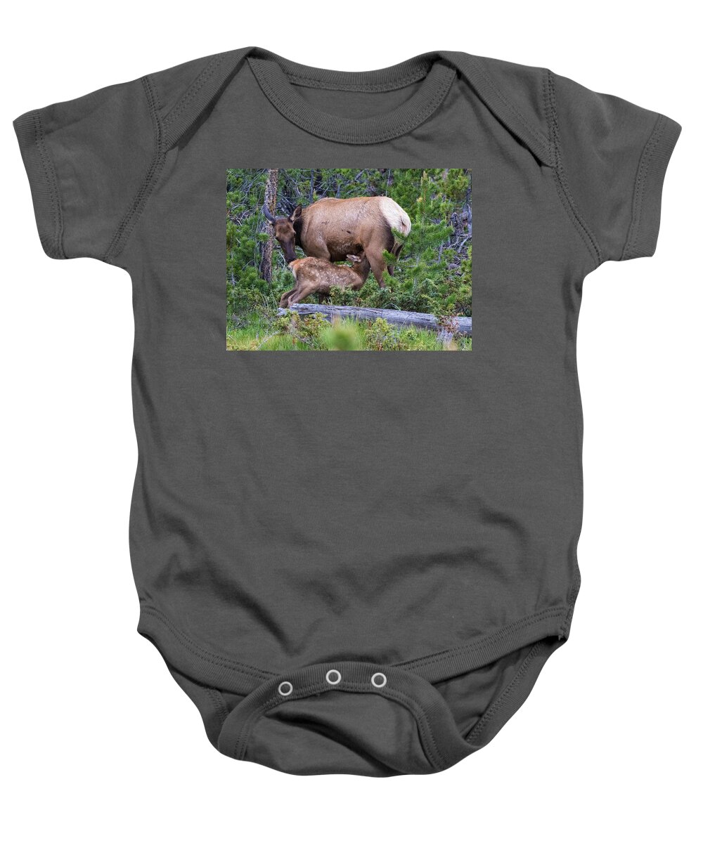 Elk Calf Baby Onesie featuring the photograph A Sweet Moment In Time by Mindy Musick King