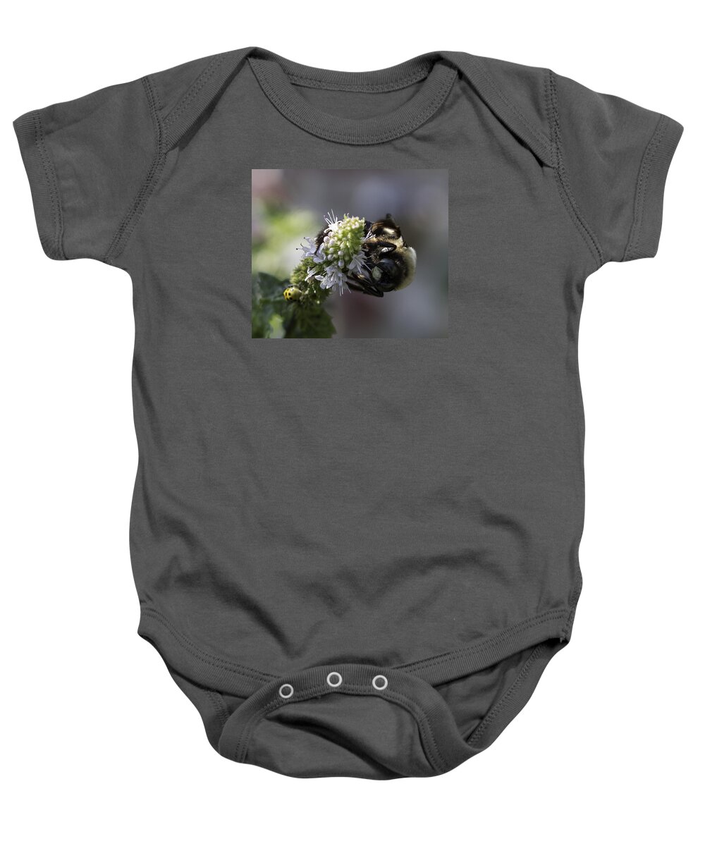 Bee Baby Onesie featuring the photograph A Twofer by Cathy Donohoue