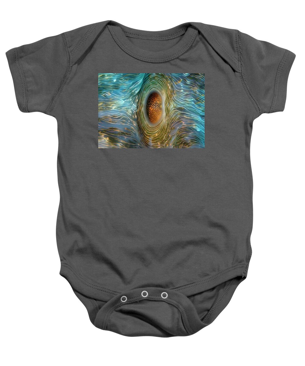 Abstract Baby Onesie featuring the photograph Abstract clam by Artesub