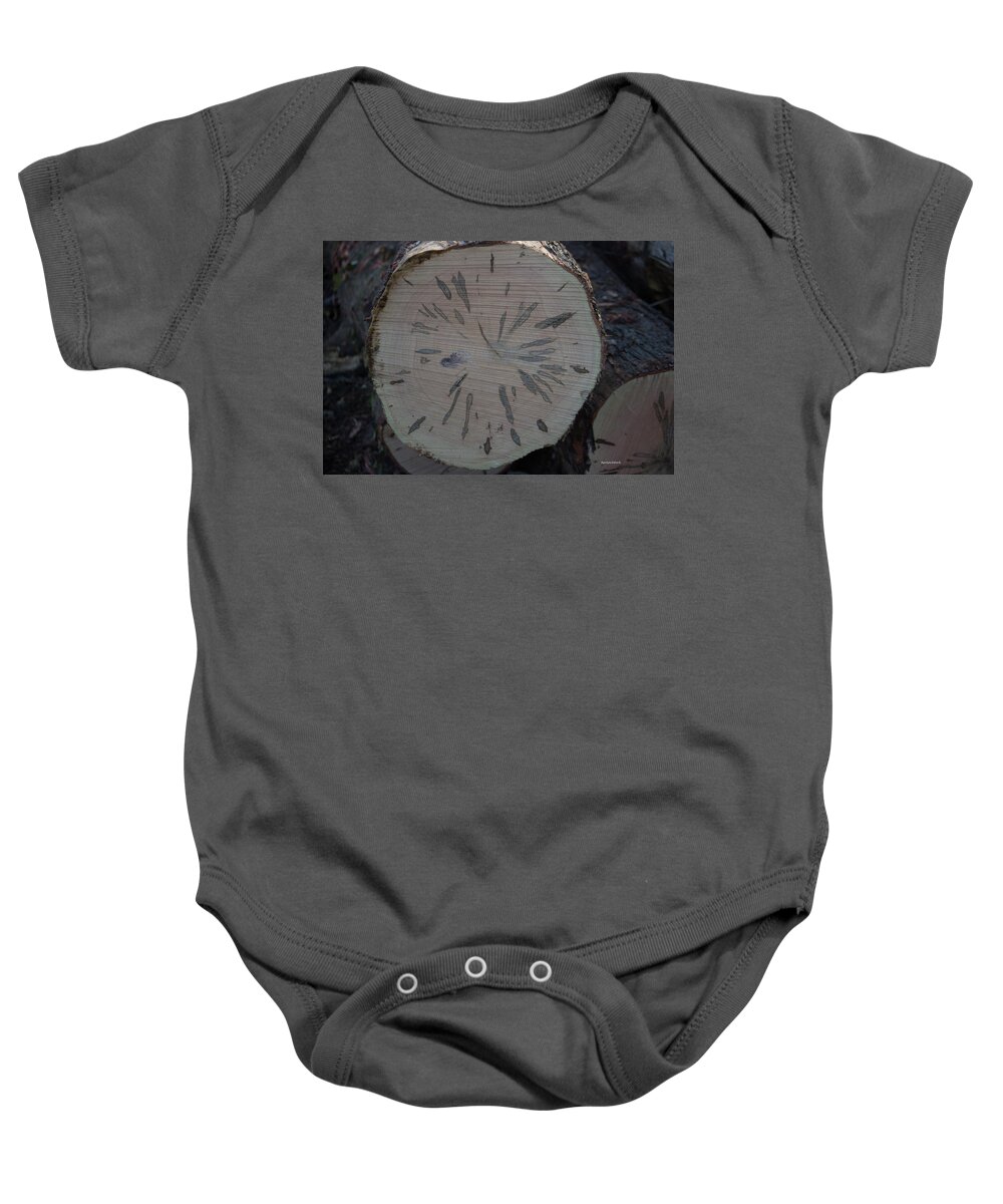 Abstract Baby Onesie featuring the photograph Abstract Log 1 by Roberta Byram