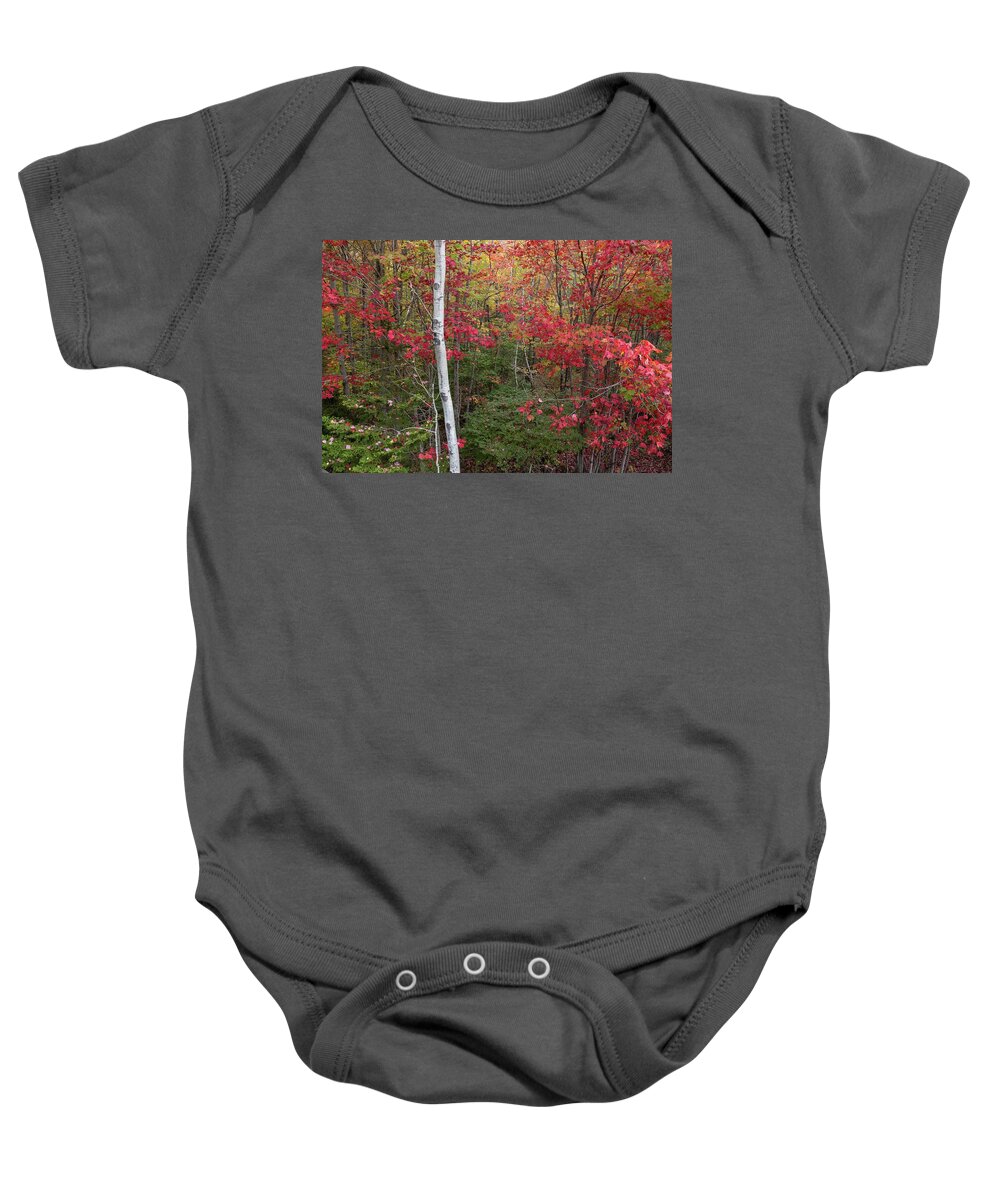 Acadia Baby Onesie featuring the photograph Acadia Fall Colors by Paul Schultz