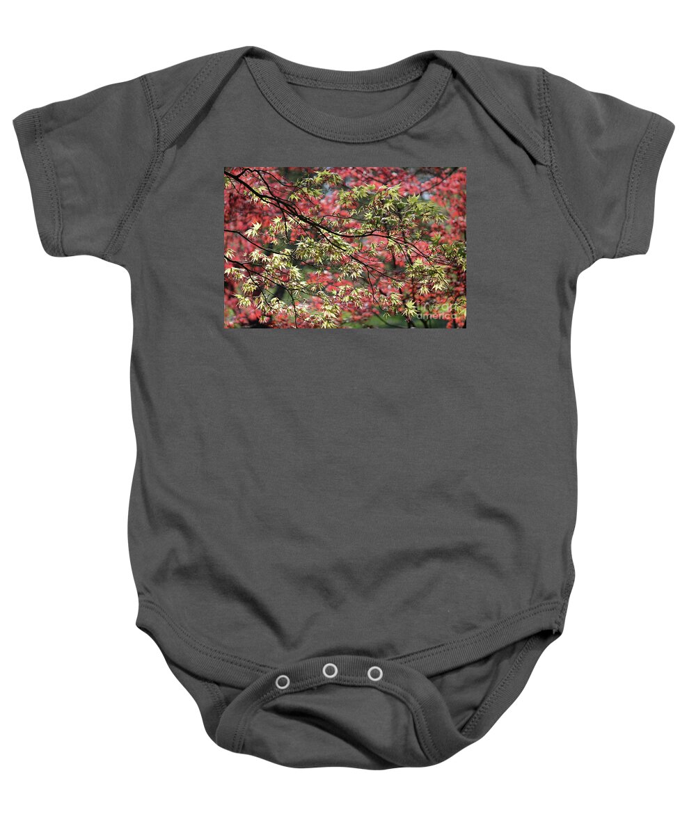 Acer Leaves In Spring Baby Onesie featuring the photograph Acer leaves in Spring by Julia Gavin