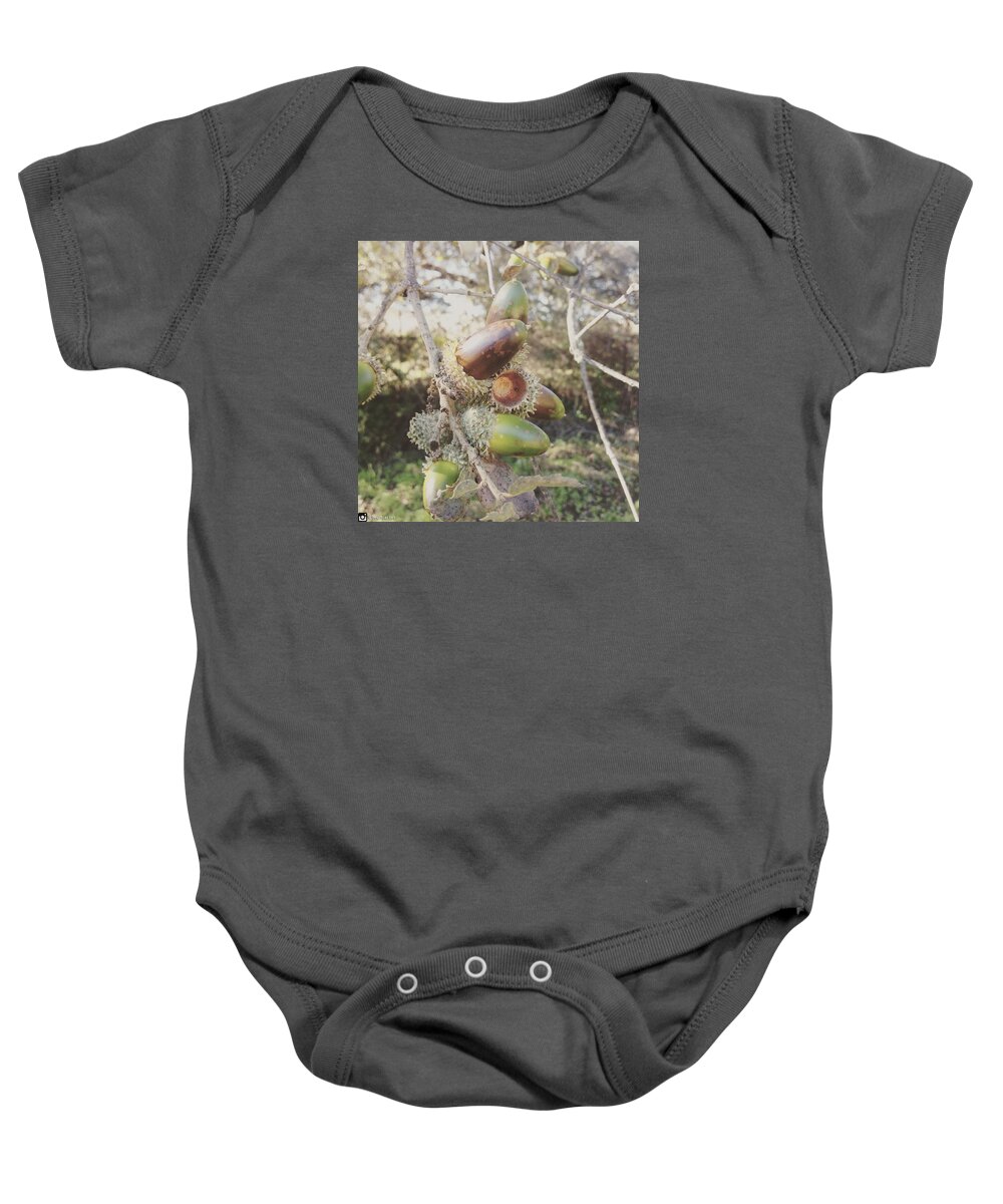 Acorns Baby Onesie featuring the photograph Acorns by Miguel Angel